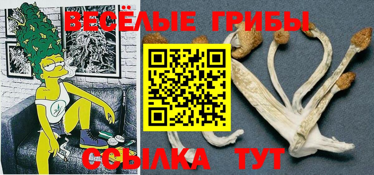 Псилоцибиновые грибы Magic Shrooms Зеленогорск