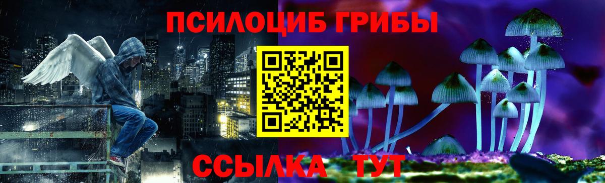 Галлюциногенные грибы Psilocybine cubensis  Вход с VPN  Зеленогорск  Псилоцибиновые грибы мицелий 